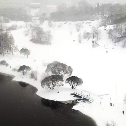 Photo #11884034