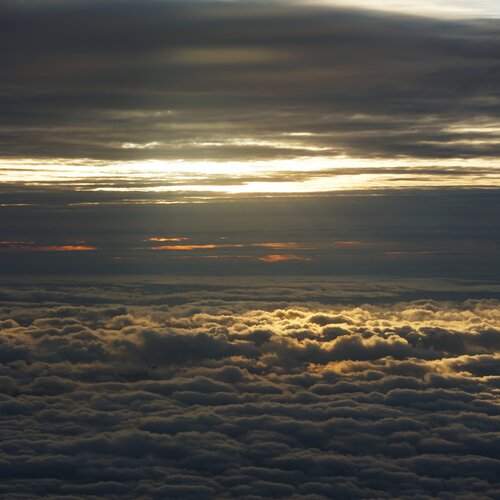 Photo #11884281