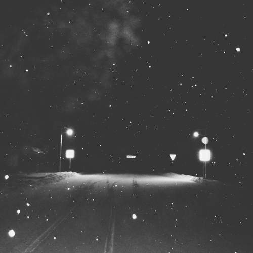 Photo #11884413