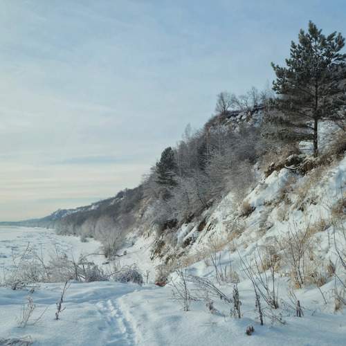 Photo #11884770