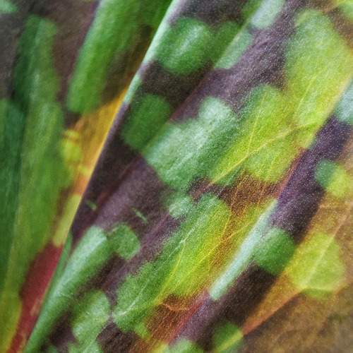 Photo #11884893