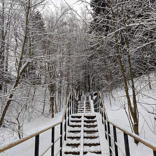 Photo #11885210