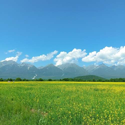 Photo #11885269