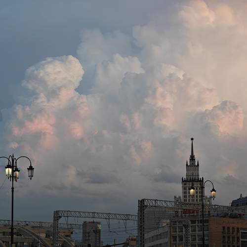 Photo #11885286