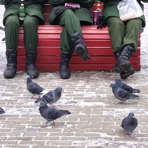 Photo #11885306
