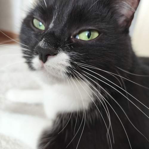 Photo #11885337