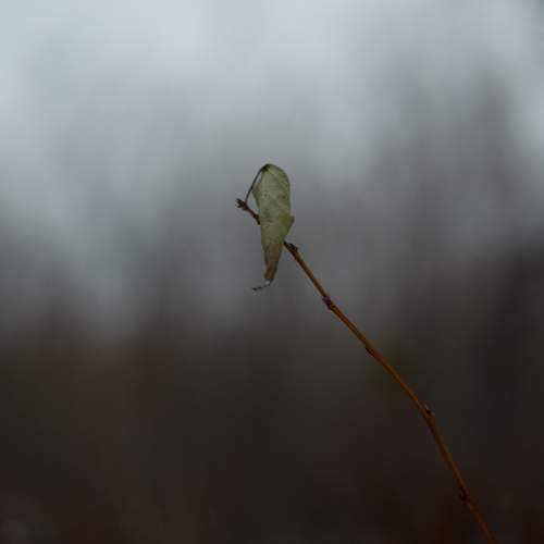 Фотография #11885591