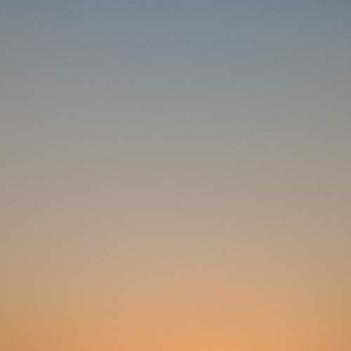 Photo #11885673