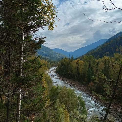 Photo #11885709