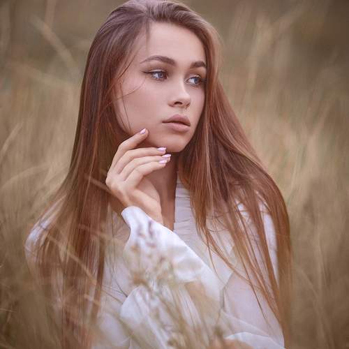 Photo #11885732