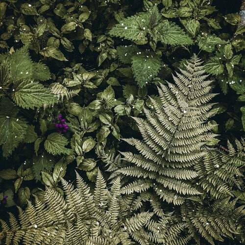 Photo #11885766
