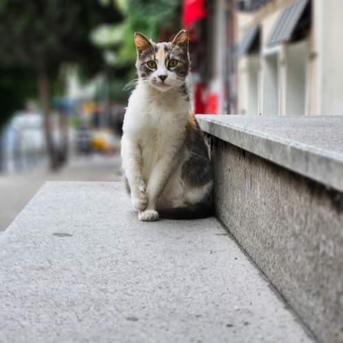 Photo #11885801