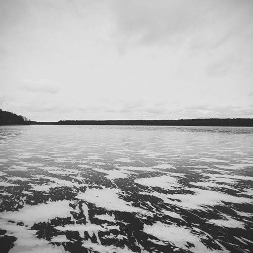 Photo #11885864