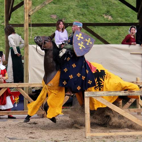 Photo #11885887