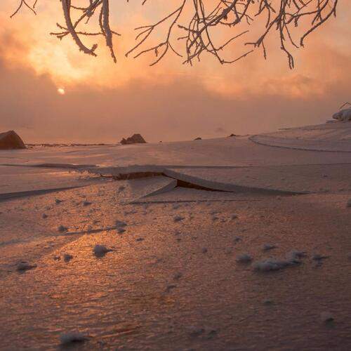 Photo #11886055