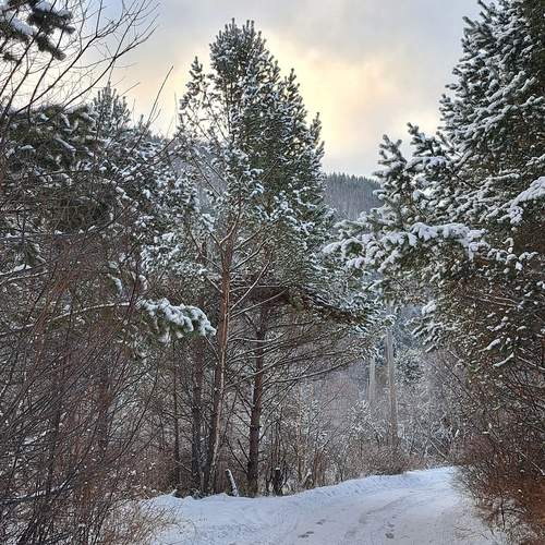 Photo #11886085