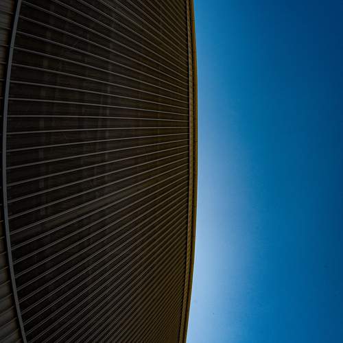 Photo #11886096