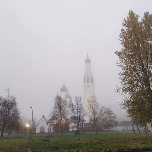 Photo #11886107