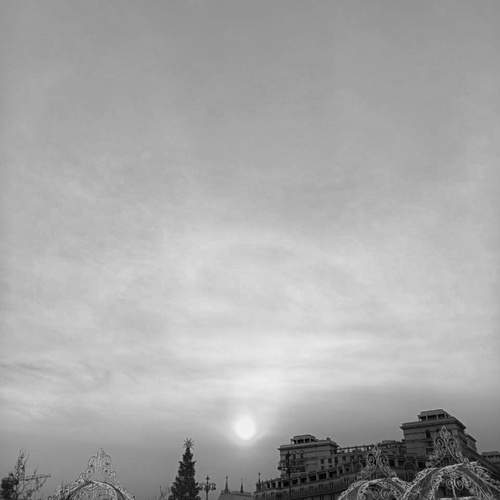 Photo #11886364