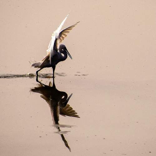 Photo #11886426