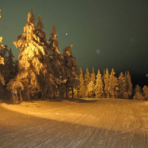 Photo #11886550