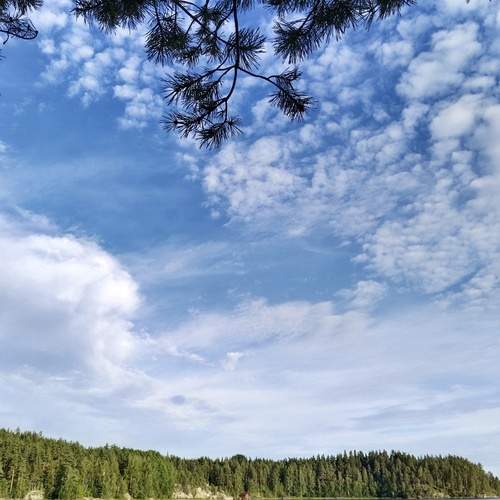 Photo #11886621