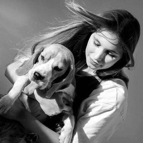 Photo #11886624