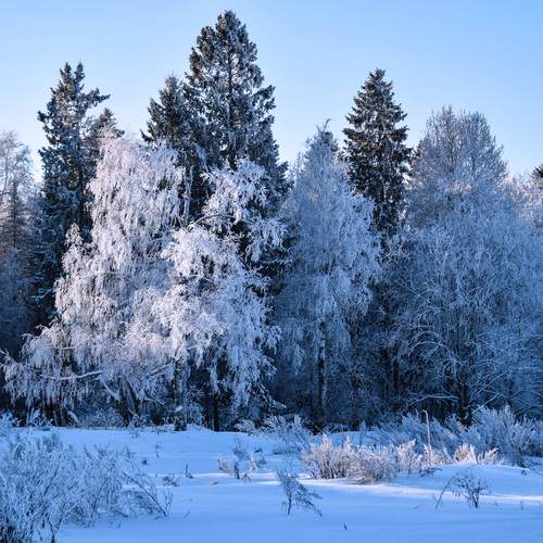 Photo #11886750