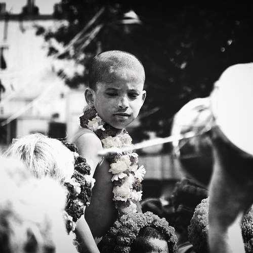 Photo #11886756