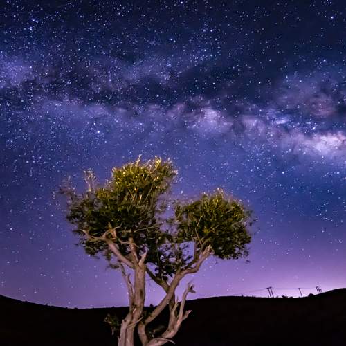 Photo #11886803