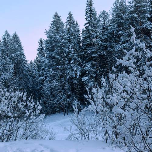 Photo #11886934