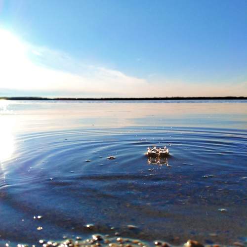 Photo #11887117