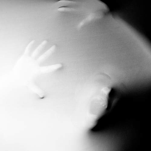 Photo #11887211