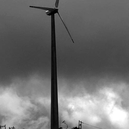 Photo #11887314