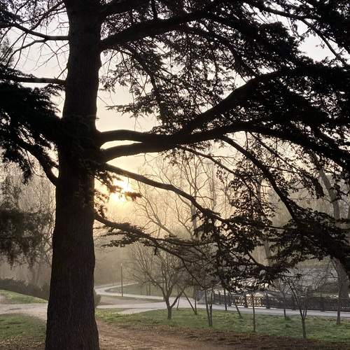 Photo #11887525