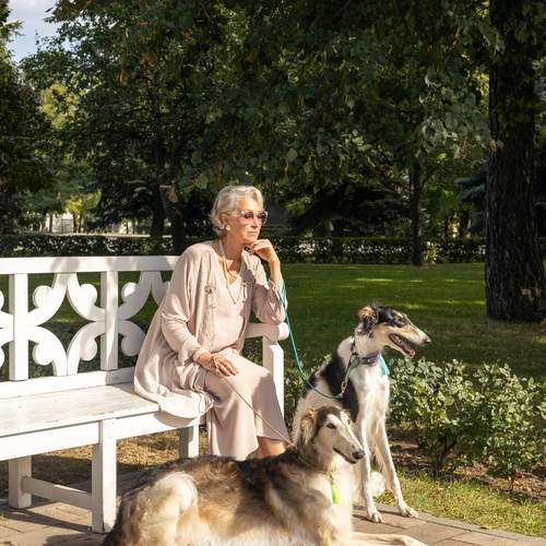 Photo #11887758
