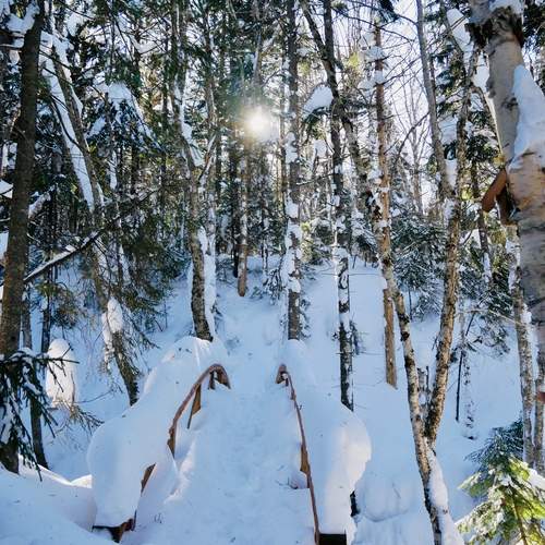 Photo #11887776