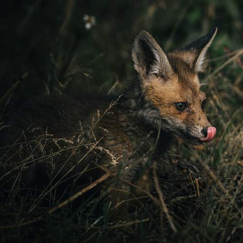 Фотография #11887803