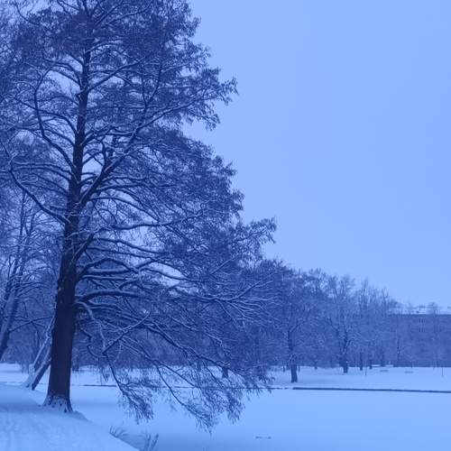Photo #11887914