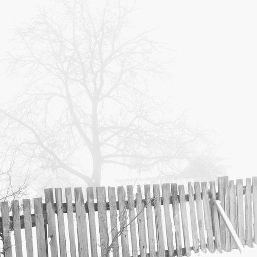 Photo #11888066