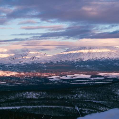 Photo #11888232