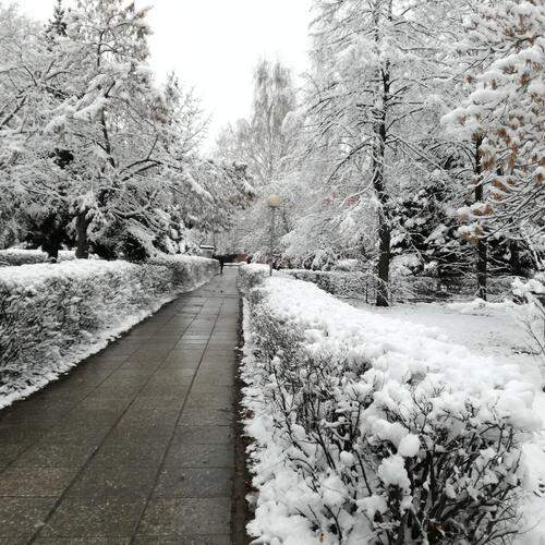 Photo #11888324