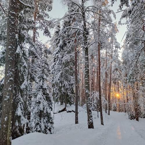Photo #11888433