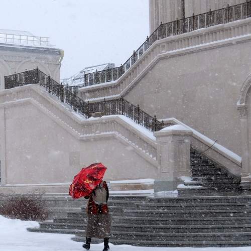 Photo #11888471