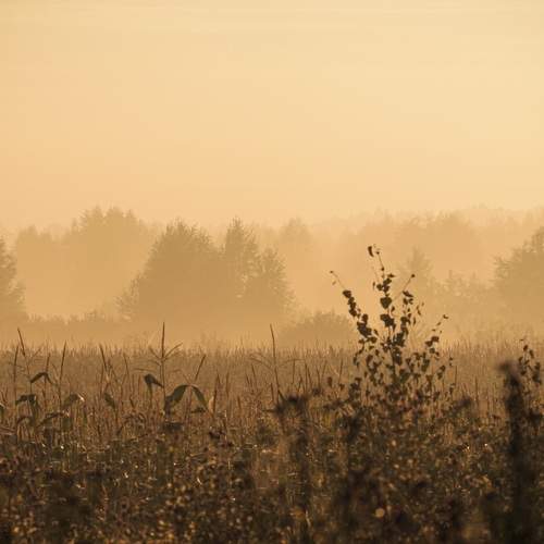 Photo #11888485