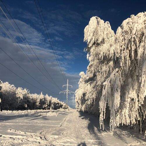 Хрустальная зима