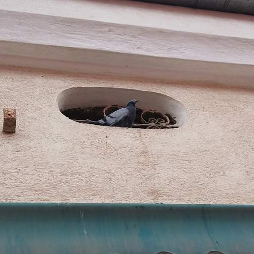 Photo #11888890