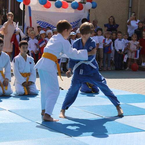 Photo #11888987