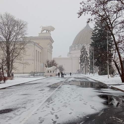 Photo #11888998