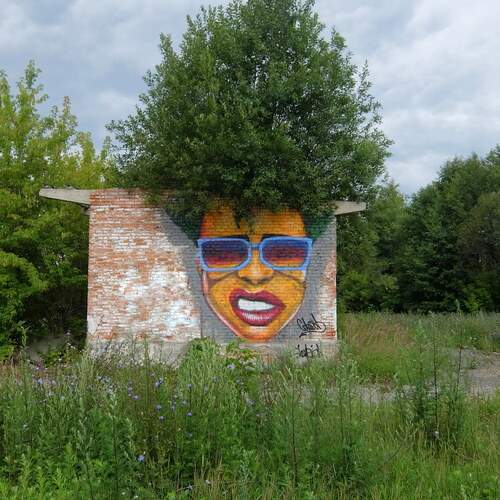 Photo #11889124